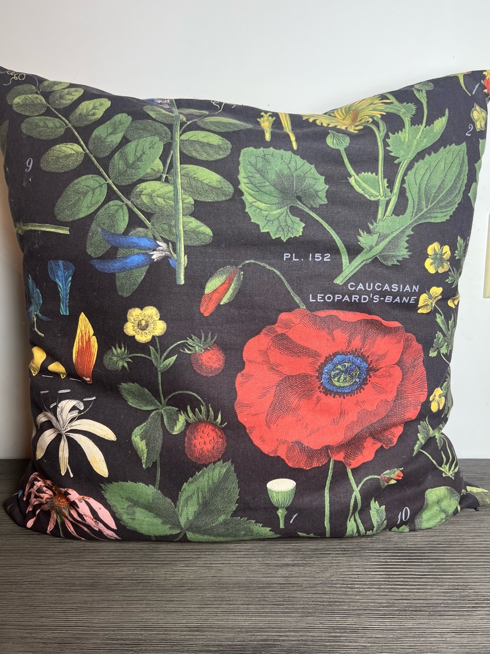 Pottery Barn Botanical Poppy Floral Pillow - Black Background